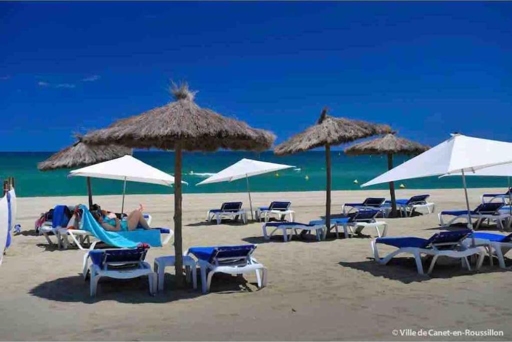 Evasion - Superbe Vue Mer ! Canet-en-Roussillon Ngoại thất bức ảnh